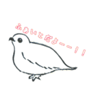 野鳥のはんこスタンプ（個別スタンプ：9）