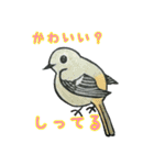 野鳥のはんこスタンプ（個別スタンプ：24）