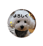 ぽぽたん♡（個別スタンプ：1）
