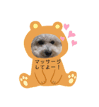ぽぽたん♡（個別スタンプ：6）