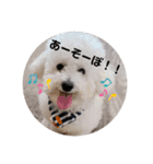 ぽぽたん♡（個別スタンプ：7）