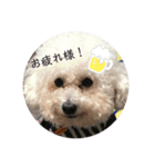 ぽぽたん♡（個別スタンプ：9）