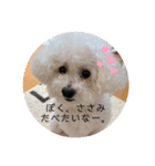 ぽぽたん♡（個別スタンプ：10）