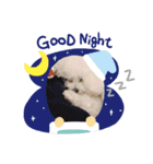 ぽぽたん♡（個別スタンプ：11）