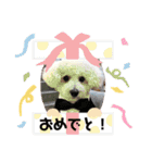 ぽぽたん♡（個別スタンプ：14）