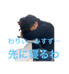 365日滑るスタンプ（個別スタンプ：19）