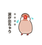 ラクガキ動物園 【文鳥7】（個別スタンプ：11）