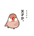 ラクガキ動物園 【文鳥7】（個別スタンプ：29）