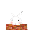 ふたごのウサギ メルとユキの日常（個別スタンプ：3）