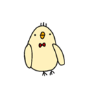あかちょうネクタイのひよこ（個別スタンプ：1）