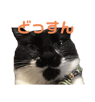 ちままとぺ（個別スタンプ：9）
