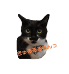 ちままとぺ（個別スタンプ：12）