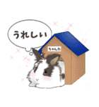 うさぎのライオンラビットちゃんた（個別スタンプ：20）