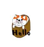 ブサカワねこ（個別スタンプ：1）