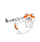 ブサカワねこ（個別スタンプ：3）