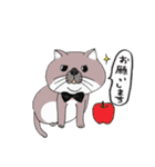 ブサカワねこ（個別スタンプ：6）