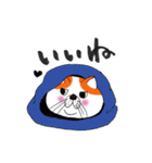 ブサカワねこ（個別スタンプ：8）