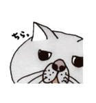 ブサカワねこ（個別スタンプ：12）