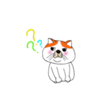 ブサカワねこ（個別スタンプ：16）