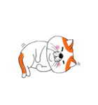 ブサカワねこ（個別スタンプ：18）