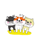 ブサカワねこ（個別スタンプ：19）