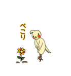 うきうき！オカメです。（個別スタンプ：12）