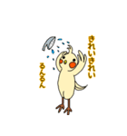 うきうき！オカメです。（個別スタンプ：24）