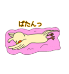 うきうき！オカメです。（個別スタンプ：28）