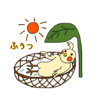 うきうき！オカメです。（個別スタンプ：39）