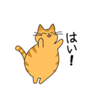 まるねこ（茶トラ）（個別スタンプ：6）