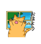 まるねこ（茶トラ）（個別スタンプ：10）