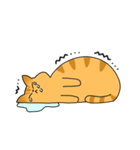 まるねこ（茶トラ）（個別スタンプ：21）