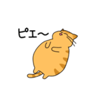 まるねこ（茶トラ）（個別スタンプ：28）