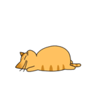 まるねこ（茶トラ）（個別スタンプ：30）