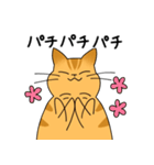 まるねこ（茶トラ）（個別スタンプ：34）