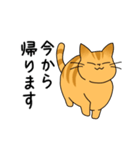 まるねこ（茶トラ）（個別スタンプ：38）
