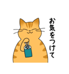 まるねこ（茶トラ）（個別スタンプ：39）