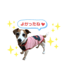 らむぱん  4（個別スタンプ：4）