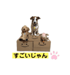 らむぱん  4（個別スタンプ：7）