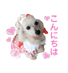 箱入り娘のゆりあ（個別スタンプ：2）