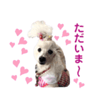 箱入り娘のゆりあ（個別スタンプ：6）