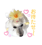箱入り娘のゆりあ（個別スタンプ：7）