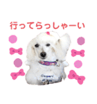 箱入り娘のゆりあ（個別スタンプ：8）