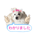 箱入り娘のゆりあ（個別スタンプ：32）
