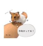 たけすたんぷ！！！！（個別スタンプ：3）