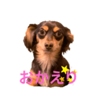 エイト君2（個別スタンプ：3）