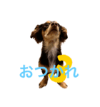エイト君2（個別スタンプ：5）