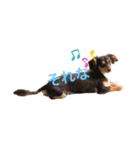 エイト君2（個別スタンプ：6）