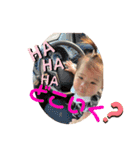 1歳児一凛（個別スタンプ：28）