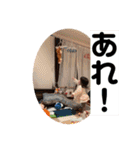 1歳児一凛（個別スタンプ：29）